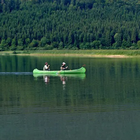 Apartament Tabor43 Cerknica