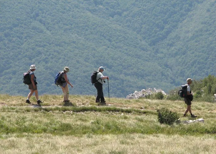 Tabor43 アパート